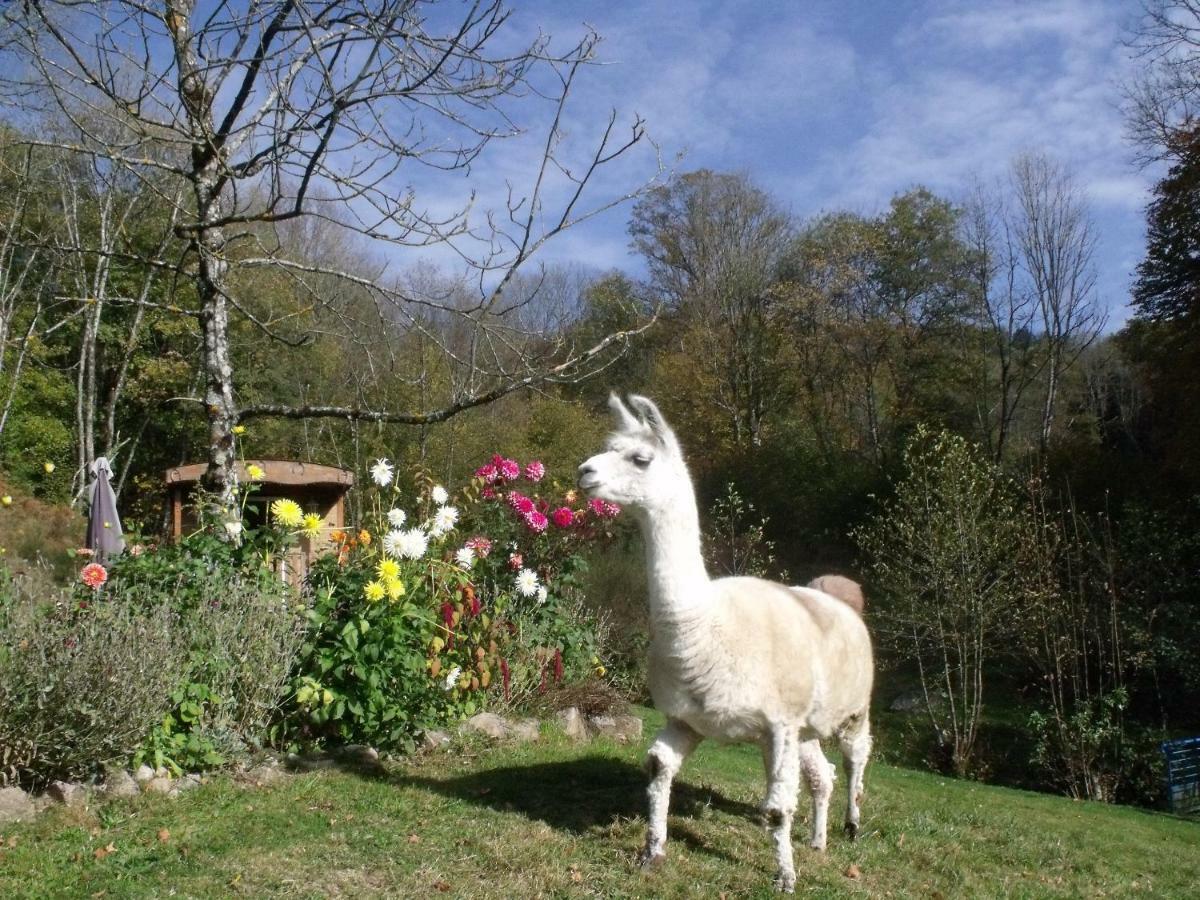 Le Domaine Du Chatelet Ferdrupt Exterior foto